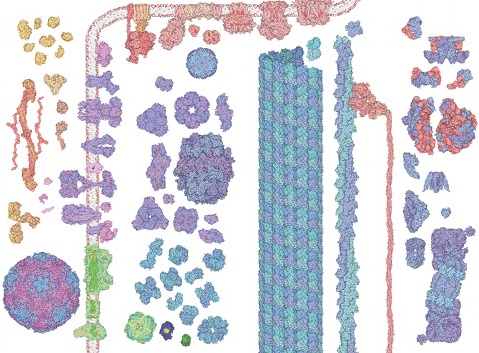 Molecular Machinery